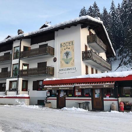 Hotel Genzianella Presenaio Kültér fotó