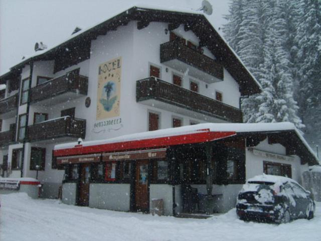Hotel Genzianella Presenaio Kültér fotó