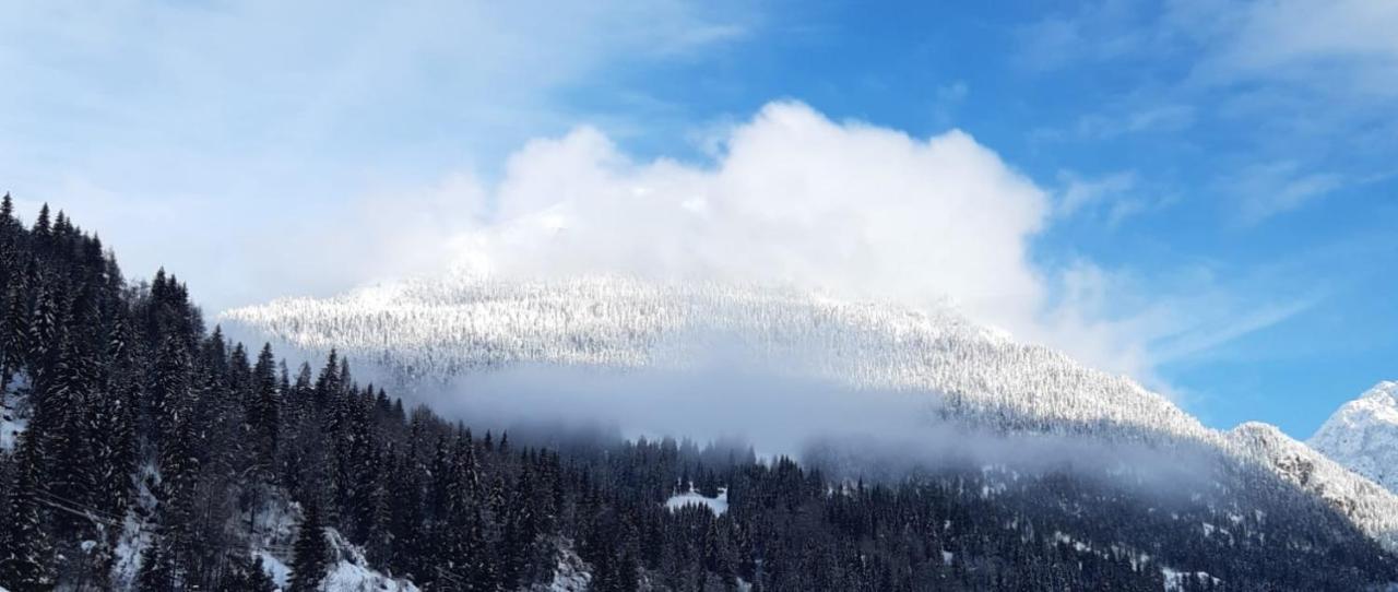Hotel Genzianella Presenaio Kültér fotó